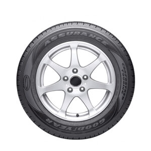 Perfect Titanium Tire Cover (18 inches)